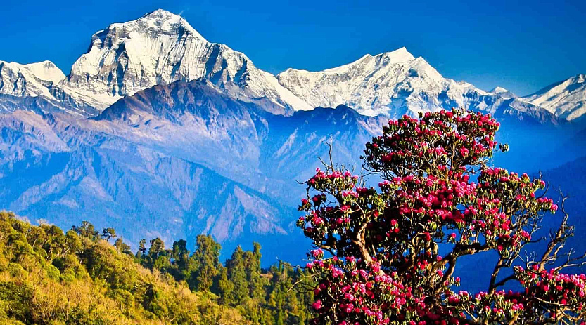 Непал - Изображение 0